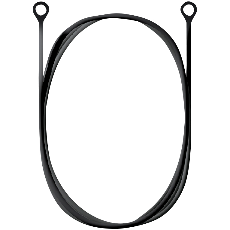 [IT-81] Cordón ISOtunes Secure Cord para productos Isotunes Free